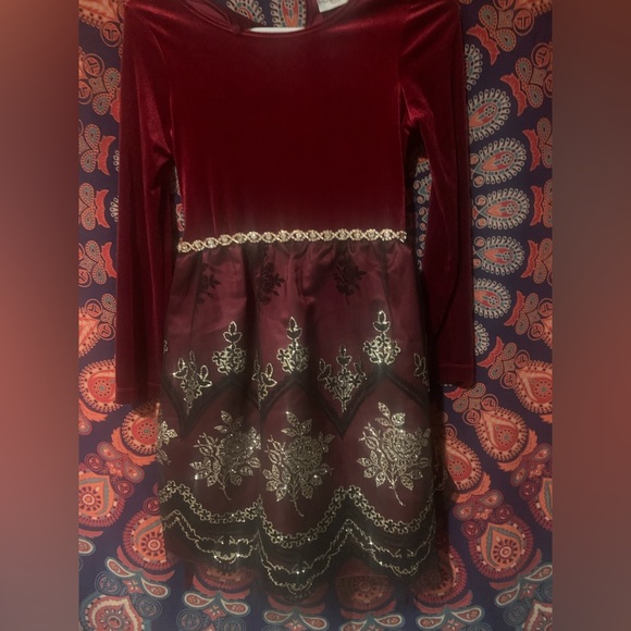 Rare Editions Other - Beautiful girl’s dress  size 12